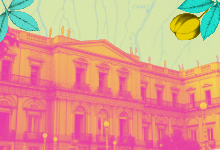 A coleção da Fundação Brasil Central