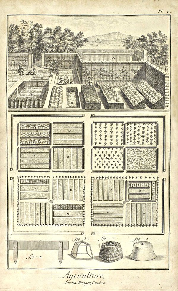 Horticultura